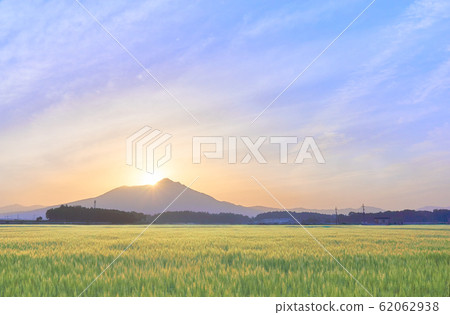 Diamond Tsukuba mountain wheat field 62062938