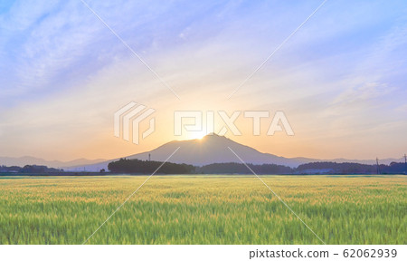 鑽石筑波山麥田 62062939