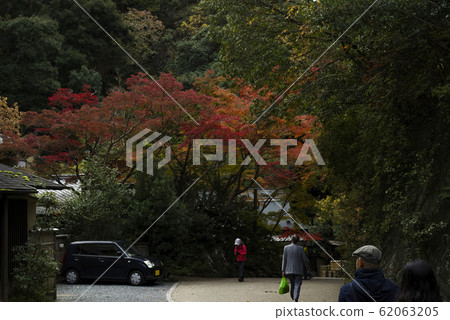 明治之森Min面國定公園,秋葉和瀑布風光 明治之森Min面國定公園,秋葉和瀑布風光 62063205