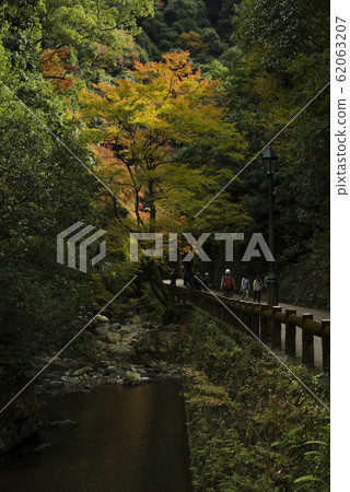 明治之森Min面國定公園,秋葉和瀑布風光 明治之森Min面國定公園,秋葉和瀑布風光 62063207