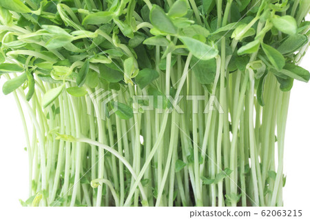 Mamenae Mamenae 62063215