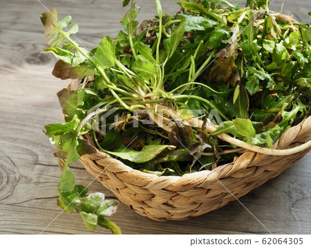 Korean cooking ingredients spring wasabi Korean cooking ingredients spring wasabi 62064305