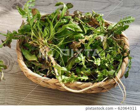 Korean cooking ingredients spring wasabi 62064311