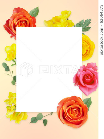 玫瑰背景圖片 62064375