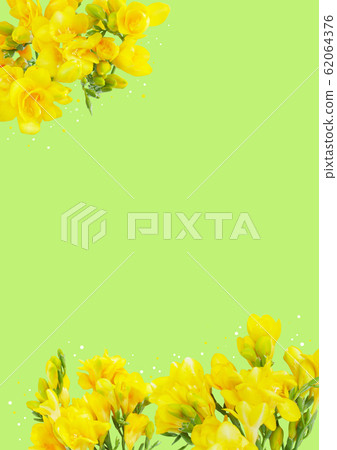 Freesia wallpaper photo Freesia wallpaper photo 62064376