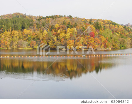 Autumn leaves and Kuriyama Dam 62064842