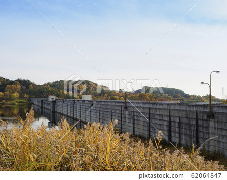 秋葉樹和栗山水壩和堰 62064847