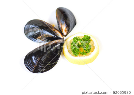 Mussels isolated on white background - Green 62065980