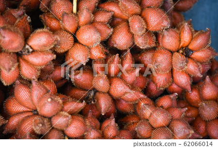 Salak Palm texture background or snake fruit for Salak Palm texture background or snake fruit for 62066014