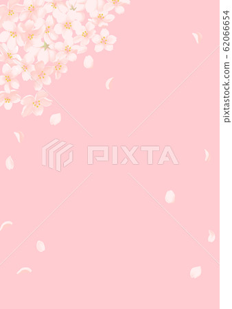 春天櫻花框架 春天櫻花框架 62066654