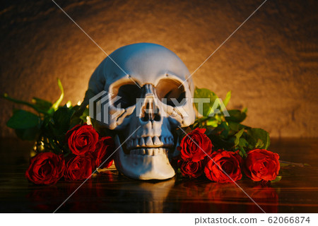 Red roses flower bouquet on rustic wood with skull Red roses flower bouquet on rustic wood with skull 62066874
