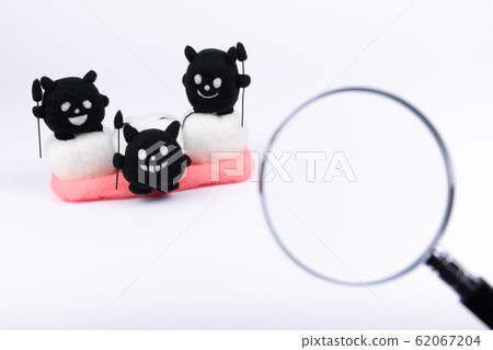 蟲草圖像 62067204