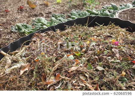 Composting household garbage in a compost tank in one corner of the garden 62068596
