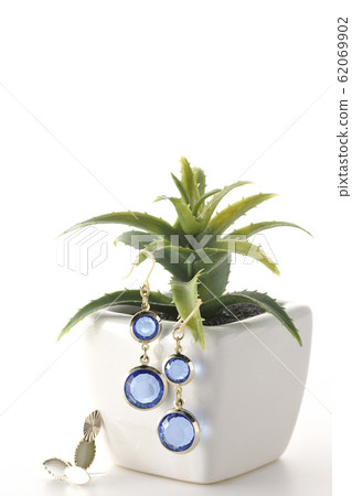 Earrings on a plant 62069902