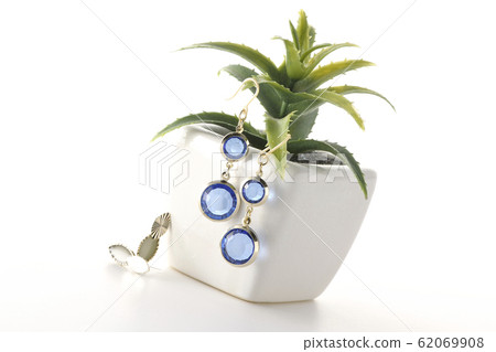 Earrings on a plant Earrings on a plant 62069908