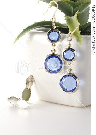 Earrings on a plant 62069912