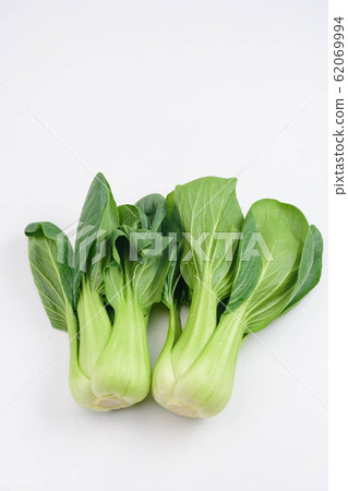白菜 62069994