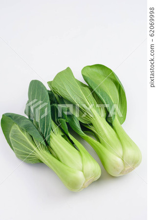白菜 62069998