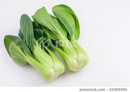 白菜 62069999
