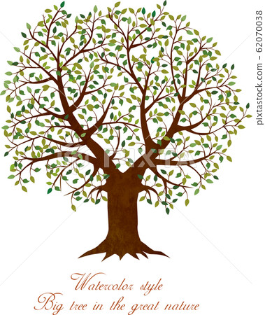 大樹：自然樹大樹樹枝綠葉鮮綠色暗綠色 62070038