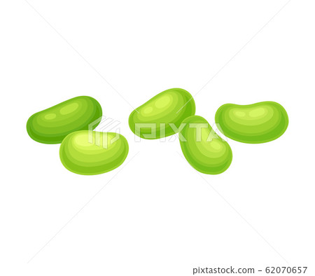 Soy Beans Isolated on White Background Vector Food Items Soy Beans Isolated on White Background Vector Food Items 62070657