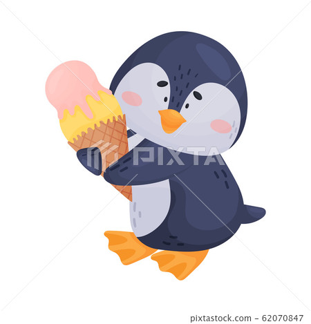 Arctic Penguin with Black and White Belly Isolated on White Background Vector Illustration 62070847