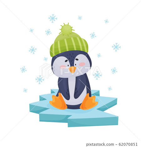 Arctic Penguin with Black and White Belly Isolated on White Background Vector Illustration Arctic Penguin with Black and White Belly Isolated on White Background Vector Illustration 62070851