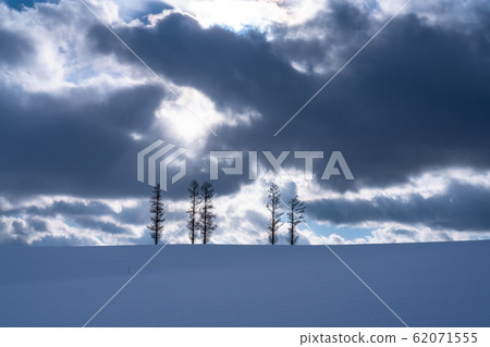 “北海道”輕度七山/冬季美瑛 “北海道”輕度七山/冬季美瑛 62071555