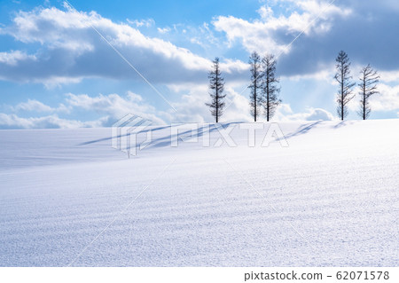 "Hokkaido" Mild Seven Hills / Winter Biei "Hokkaido" Mild Seven Hills / Winter Biei 62071578