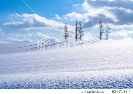 “北海道”輕度七山/冬季美瑛 “北海道”輕度七山/冬季美瑛 62071584
