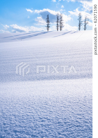 “北海道”輕度七山/冬季美瑛 “北海道”輕度七山/冬季美瑛 62071590