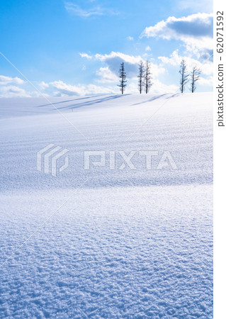 “北海道”輕度七山/冬季美瑛 62071592