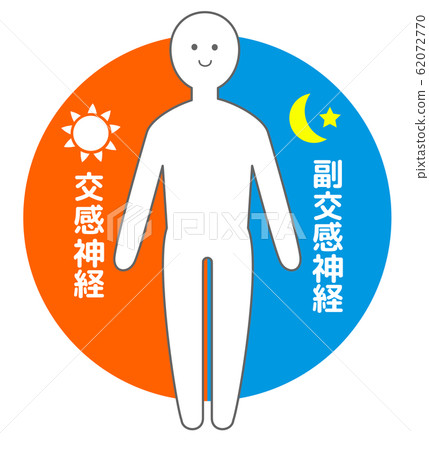 自主神經系統 62072770