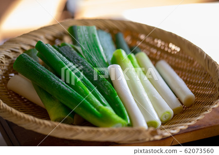 蔥 長洋蔥 新鮮 62073560