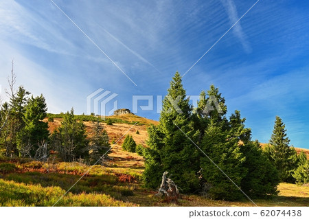 Beautiful landscape with forest and sky Beautiful landscape with forest and sky 62074438