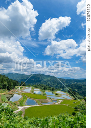 [Nagaoka, Niigata Prefecture] Yamakoshi's rice terraces and terrace pond summer 62074820
