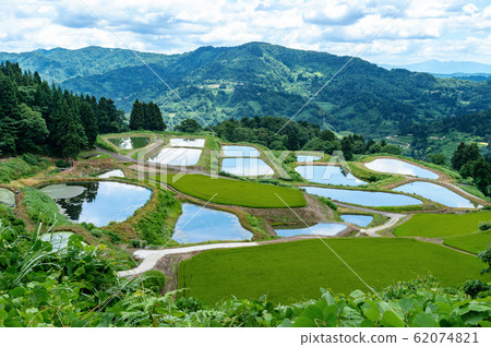 [Nagaoka, Niigata Prefecture] Yamakoshi's rice terraces and terrace pond summer 62074821
