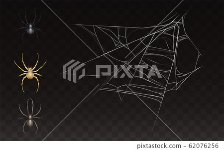 collection of realistic web with spider 62076256