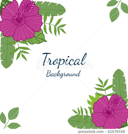 Tropical leaves and Flowers on White background. - Stock Illustration ...
