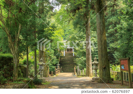 Kokuzo Shrine Sando Aso City, Kumamoto Prefecture 62076897