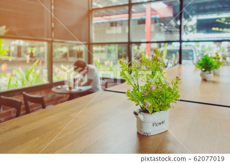 Artificial plants or plastic tree on table for decoration and welcome for customers in coffee shop. 62077019