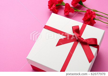 Mother's day carnation 62077970