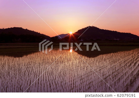 稻田的夜景 62079191