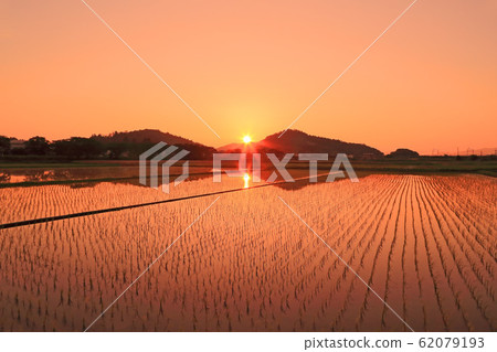 稻田的夜景 62079193