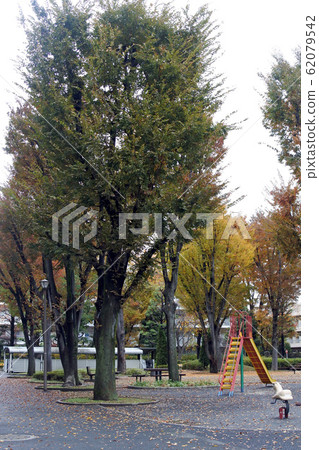 公園幻燈片 62079542