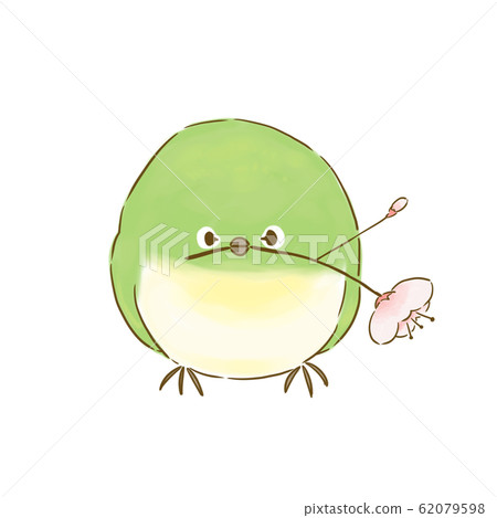 Round white-eye and cherry blossom Round white-eye and cherry blossom 62079598