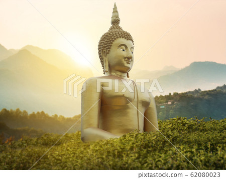 big great powerful Buddha statue in gold color in the middle of green park on the mountain with beautiful sunset or sunrise and wonderful nature scene at background. Buddha image for Buddhists big great powerful Buddha statue in gold color in the middle of green park on the mountain with beautiful sunset or sunrise and wonderful nature scene at background. Buddha image for Buddhists 62080023