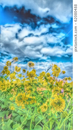 強姦開花 62080488