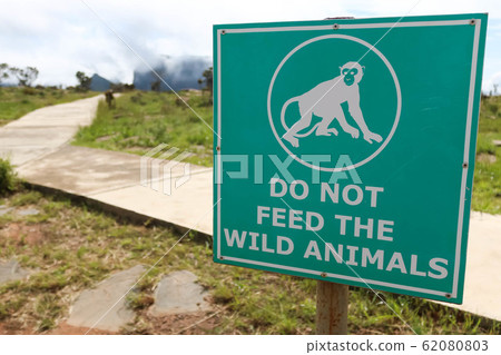 green sign telling to not feed wild animals green sign telling to not feed wild animals 62080803