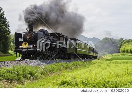 Lady SL Yamaguchi 62082030